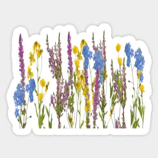 Lavender Wild Flowers Sticker